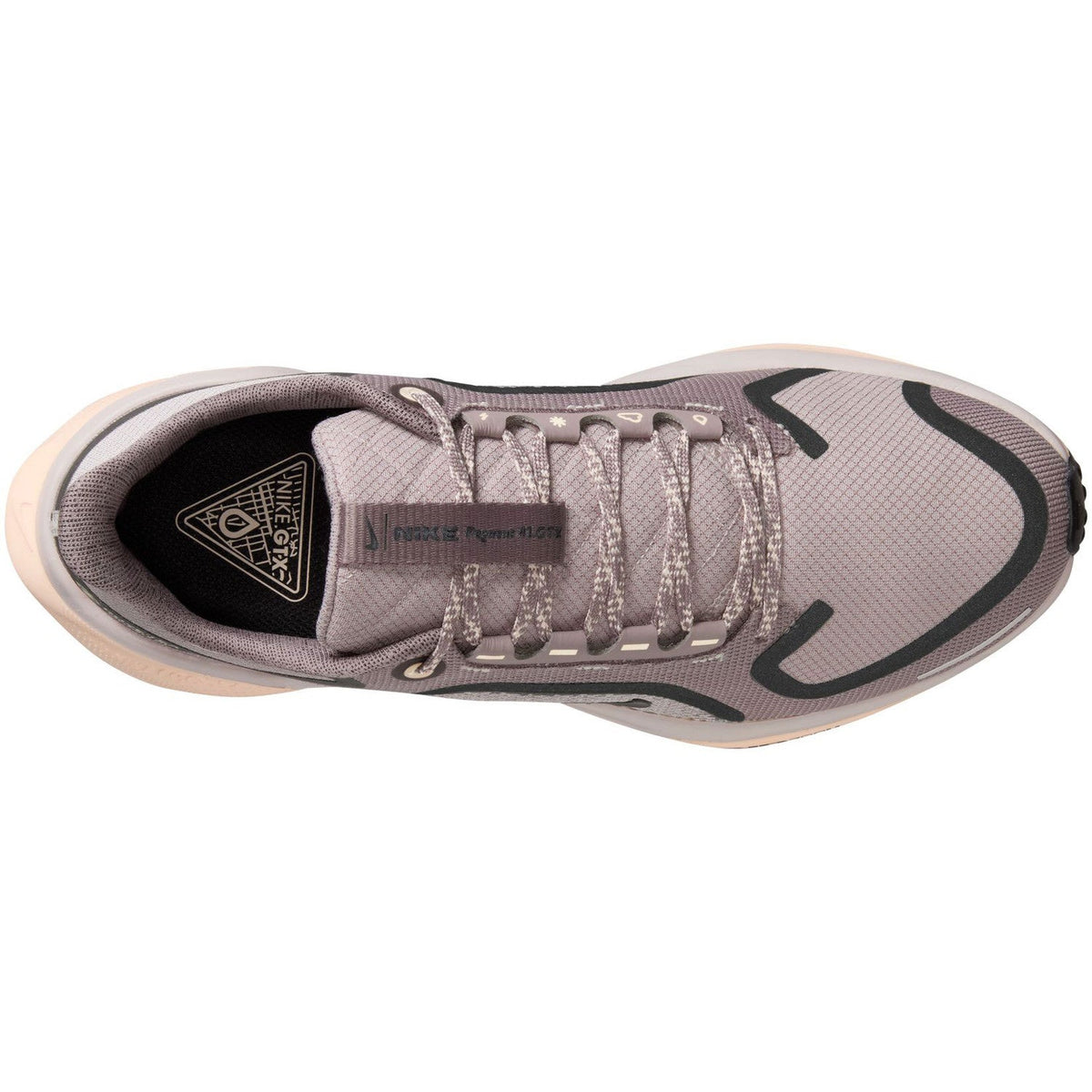 Nike Pegasus 41 GTX Hardloopschoenen Dames